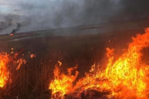 Prahova, in flacari! 22 de incendii în doar patru zile! ISU trage un semnal de alarma