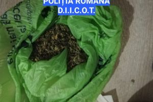 Perchezitii in Teleorman si Olt, la persoane banuite de trafic si consum de droguri