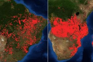Imagini înfricoşătoare cu incendiile din Amazon şi Africa