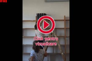 Tineri voluntari belgieni au renovat biblioteca Liceului Tehnologic ”Vasile Cocea” din ...