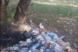 Campania “NU FI TU GUNOIUL BRAILEI” isi nominalizeaza primele “mizerii” umane: brailenii petrecareti ce sufoca cu gunoaie plaja de pe malul celalat al Dunarii