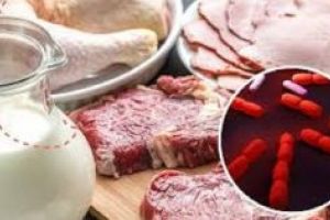 Listerioza in Spania-Doua decese, 200 de cazuri confirmate