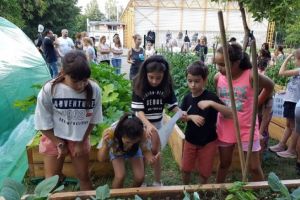 Școala din Ploieşti unde elevii au grădină de legume şi plante aromatice, seră şi clasă în aer liber