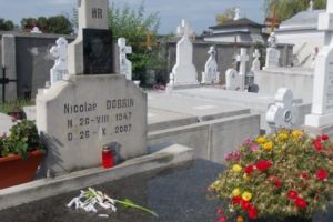 La comemorarea lui Dobrin, o lumânare şi un crin…