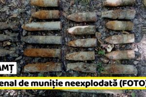 NEAMȚ: Arsenal de muniţie neexplodată, într-o pădure din Neamţ (FOTO)