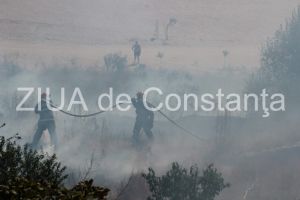 Incendiu pe strada Olteniei din localitatea General Scarisoreanu