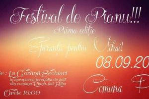 Apel umanitar INEDIT: Festival de Pianu (Speranţă pentru Mihai), în 8 septembrie, prima ediţie. Eveniment CARITABIL pentru un tânăr de 20 de ani din comună, diagnosticat cu leucemie