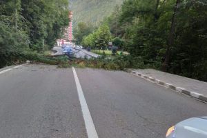 FOTO Trafic blocat pe Valea Oltului din cauza unor copaci căzuţi