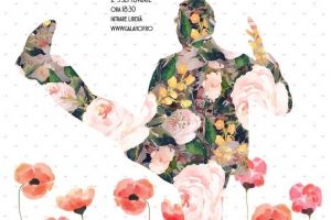 Regal de teatru-dans, la Constanta - Gala Tanarului Actor HOP 