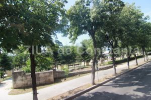 Primaria Constanta vrea sa repuna in functiune supravegherea video in Parcul Arheologic si zona Vraja Marii - Cazino - Port Tomis