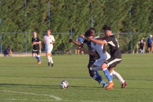 Victorie pentru FC Viitorul in amicalul de azi cu Medgidia