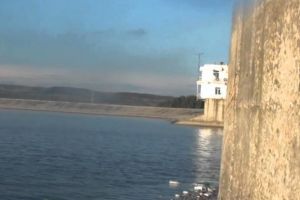 Dispărută de două săptămâni, plutea fără viaţă pe lac