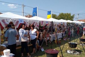 Festivalul Sarmalelor, la Salonta: duminică vor fi serviţi, gratuit, 15.000 de „boţi” şi vor fi ajutate familii nevoiaşe şi tineri excepţionali