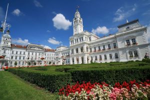 PRO România Arad cere amânarea deciziilor pe patrimoniu