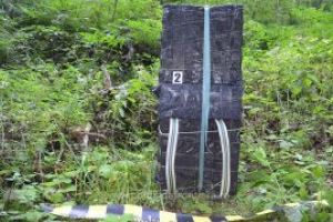 Tigari in valoare de peste 47.000 lei confiscate la frontiera de nord