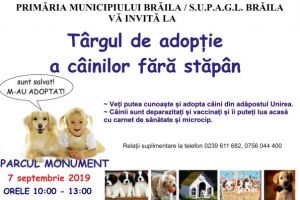 Salveaza un suflet pur! Targul de adoptie a cainilor fara stapan