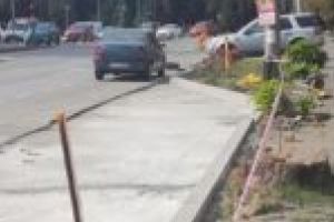 Primarul Timişoarei, despre tăierea copacilor: „Încurcă modernizarea şi atunci, inevitabil, trebuie să îi tăiem!”