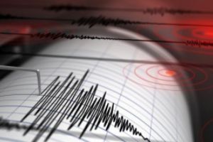 CUTREMUR de peste 4 grade Richter în judeţul Vrancea