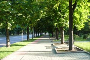 Bulevardul Castanilor va fi INCHIS circulatiei, sambata