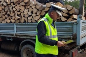 Controale ale poliţiştilor, pentru depistarea şoferilor care transportă, ilegal, material lemnos