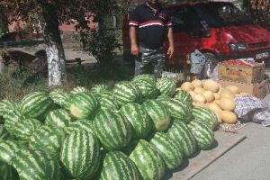 ”Târgul Pepenilor”, la Sînpaul