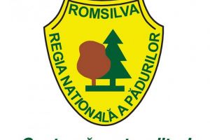 Romsilva, informatii despre comunitatea anonima ,,STOP Defrisarilor 
