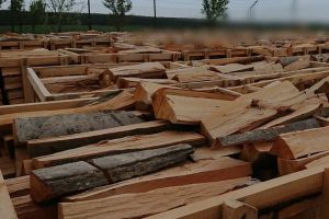 Poliţiştii din Bihor, cu ochii pe transporturile de lemne. Au fost controlate 17 camioane cu material lemnos şi au fost aplicate amenzi de 6.000 lei