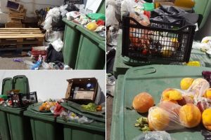 FOTO/ ȘTIREA TA: Focar de infecţie în spatele supermarketului Profi City de pe bulevardul Transilvaniei. Mormane de gunoaie sunt lăsate la vedere în aceste zile caniculare