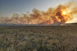 Parjol mare in judetul Tulcea. Focul a fost oprit cu greu