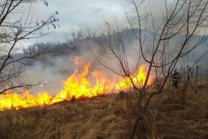 Incendii de vegetaţie în Sibiu şi Apoldu de Sus