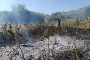 Incendiu in judetul Tulcea. Flacarile amenintau mai multe locuinte (galerie foto)