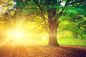 O toamnă călduroasă: Meteorologii prognozează temperaturi mari pentru luna septembrie, dar şi fenomene periculoase