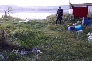 FOTO – Un pescar a ucis un căţel pe lacul Avrig – Avrigenii se mobilizează să îl alunge cu tot cu rulotă