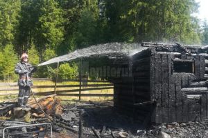 Pădure pusă în pericol de un incendiu care a mistuit o colibă