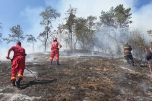 FOTO. Pădure în primejdie: Incendiu de vegetaţie uscată în Ranta Bogăţii