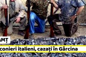 NEAMȚ: Percheziţii la braconieri italieni cazaţi în Gârcina. Sute de păsări găsite de poliţişti