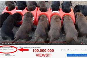 RECORD. Clip cu 100 de milioane de vizualizări, realizat în Satu Mare. Vedete internaţionale!