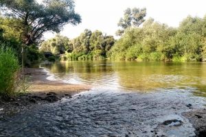 Zona din Bistriţa-Năsăud care a scăpat de gunoaie după ce a fost montată o cameră de supraveghere