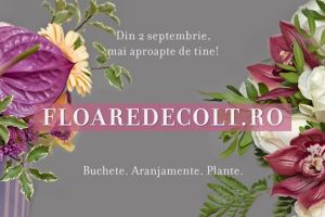 Livrare la domiciliu de flori colorate şi plante de interior. Perfect pentru începutul de an şcolar!