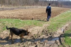 Bătrânică de 79 de ani, dispărută aproape de miezul nopţii, găsită în scurt timp de poliţişti, în zona Topliţa