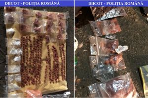 FOTO. Puştan arestat pentru trafic de droguri. Voia să vândă ecstasy în cluburile din Satu Mare