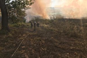 Intervenţie dificilă a pompierilor, la Țigăneşti/ Incendiul de mirişte s-a extins la pădure