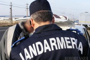 Beiuşul sub asediu: Comisari ai Gărzii Financiare, inspectori ai ITM şi DSVSA, poliţişti şi jandarmi au verificat firme, transporturi cu lemne şi comercianţi
