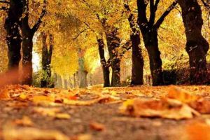 Cum va fi VREMEA până în 15 septembrie 2019, în Transilvania şi la munte. ANM a publicat prognoza meteo pentru următoarele 2 săptămâni