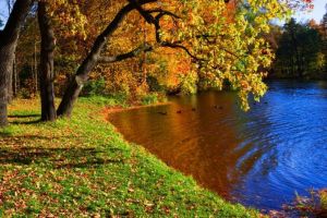 Prognoza meteo pe două săptămâni – Avem vară şi în septembrie