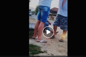 VIDEO/ Bataie intre un PNL-ist si un USR-ist! 