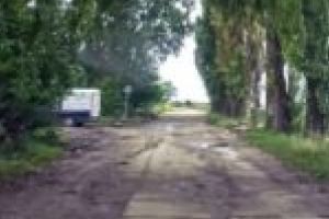 Protest la primărie! Locuitorii unei străzi din Lugoj se plâng de condiţiile de Ev Mediu în care locuiesc: fără asfalt, fără canalizare şi cu probleme ale reţelei electrice