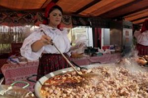 Cat trebuie sa plateasca agentii economici care vor sa participe la Castane 2019