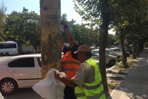 Campanie de igienizare a Primariei Constanta: Va disparea afisajul stradal ilegal de pe marile bulevarde 