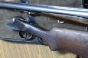 Prinşi în flagrant pe DN 58B! Aveau o puşcă şi muniţie!